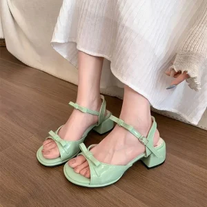 Elegant Butterfly-knot Gladiator Buckle Strap Thick Heel Floral Sandals